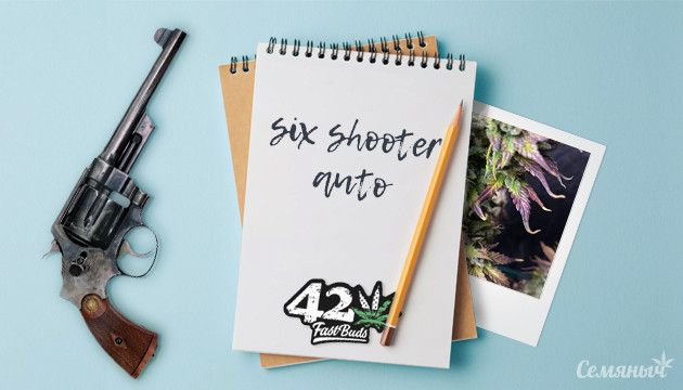 Гроурепорт сорта Six Shooter