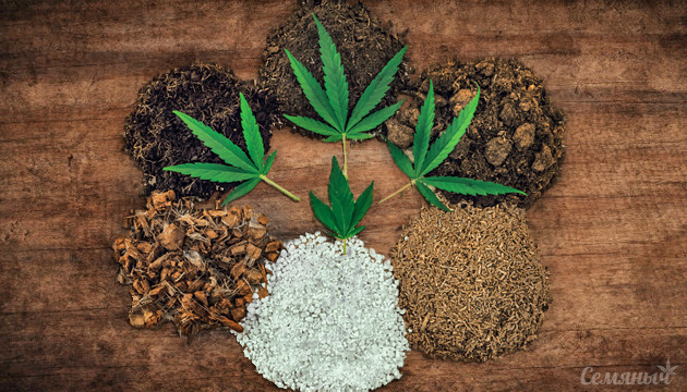 Виды субстратов для конопли