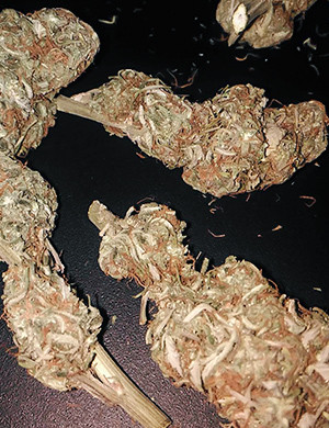 Готовые шишки