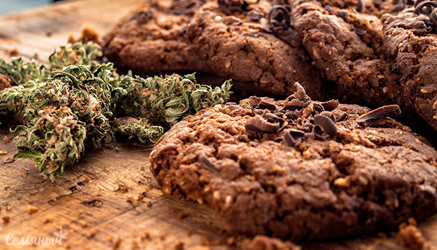 Нехитрый рецепт овсяного печенья с коноплей