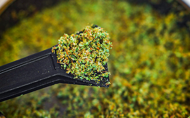 Измельченная марихуана