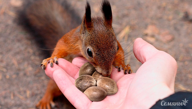 Всемирный день доброты