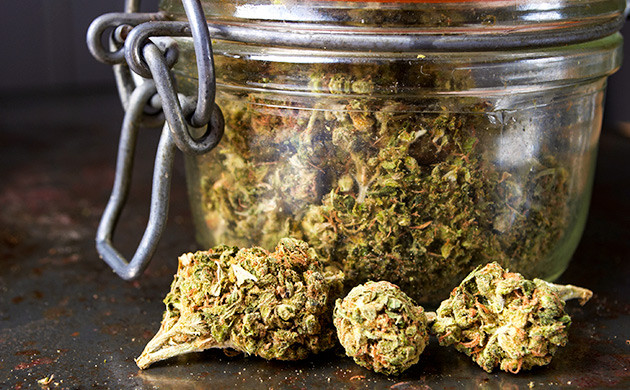 Сушка и пролечка конопли