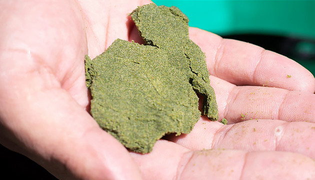 Гашиш из кифа