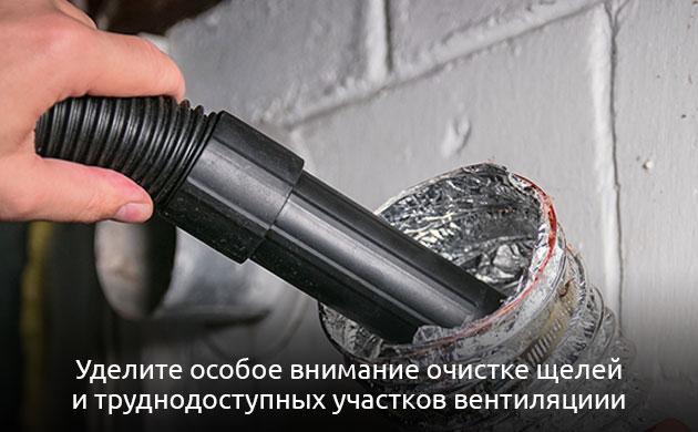 Стерилизация гроубокса после нашествия вредителей для здоровой конопли