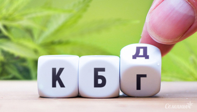 Каннабигерол в конопле