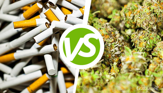 Сигареты vs марихуана