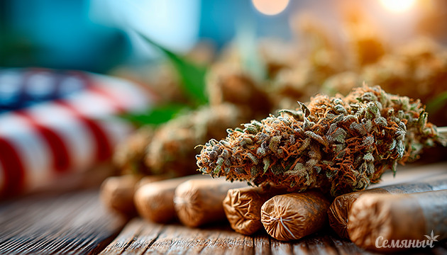 Настоящий джойнт-бум в США