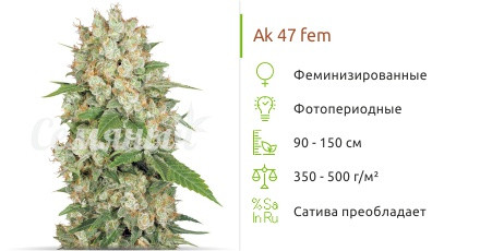 AK-47 от Семяныча
