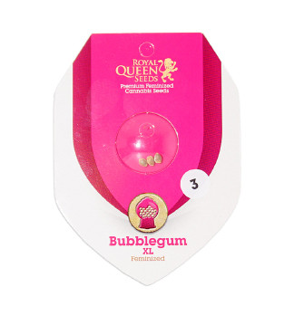 Bubblegum XL fem (RQS)