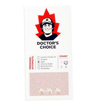 Ogre Auto fem (Doctor’s Choiсe)