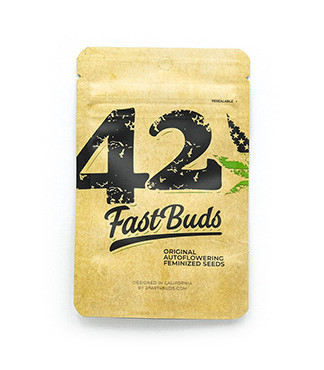 Original Afghan Kush Auto fem (FastBuds)