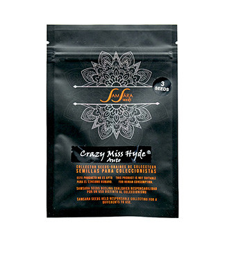 Crazy Miss Hyde Auto fem (Samsara Seeds)