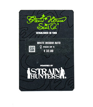 White Widow Auto fem (GHS)