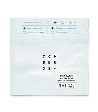 Pharaoh Auto (Auto Tutankhamon) fem (Семяныч)