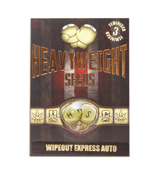 Wipeout Express Auto fem (Heavyweight Seeds)