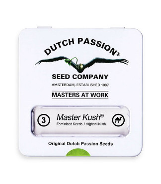 Master kush fem (Dutch Passion)