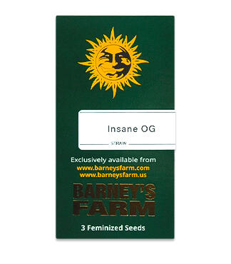 Insane OG Strain (Barney's Farm)
