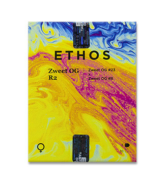 Zweet OG R2 fem (Ethos Genetics)