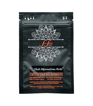 Shot Adrenaline Auto fem (Samsara Seeds)