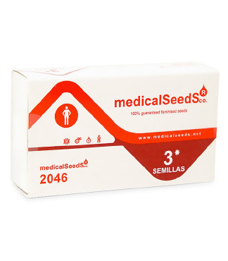 2046 fem (Medical Seeds)