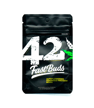 Orange Sherbet Auto fem (FastBuds)