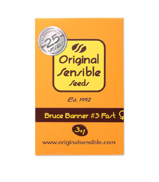 Bruce Banner #3 Fast fem (Original Sensible Seeds)