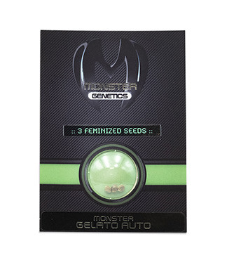 Monster Gelato Auto fem (Monster Genetics)