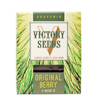 Original Berry fem (Victory Seeds)