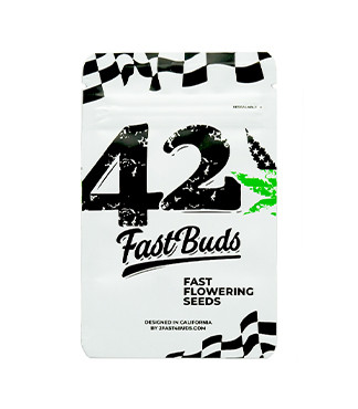 Wedding Cheesecake FF fem (FastBuds)