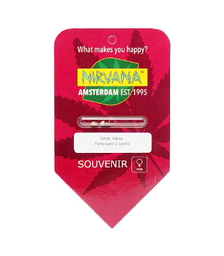 White Rhino fem (Nirvana Seeds)