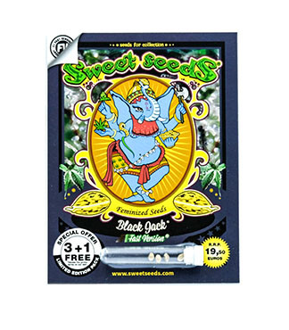 Black Jack F1 Fast Version fem (Sweet Seeds)