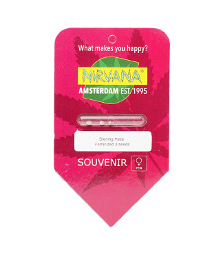 Sterling Haze fem (Nirvana Seeds)