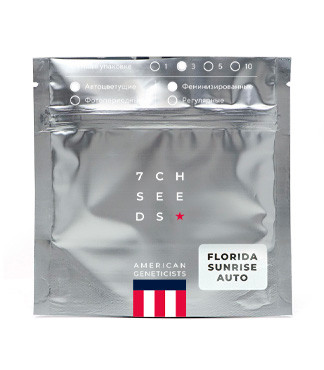 Florida Sunrise Auto fem (7CH American)