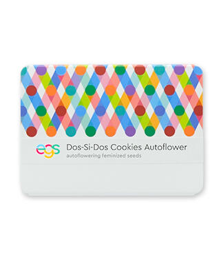 Dos-Si-Dos Cookies Autoflower fem (Easy Grow Seeds)