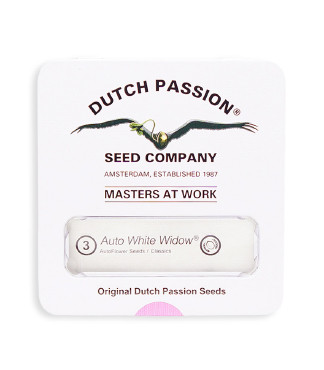 Auto White Widow fem (Dutch Passion)