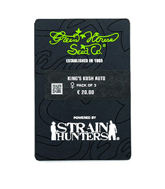 King’s Kush Auto fem (GHS)