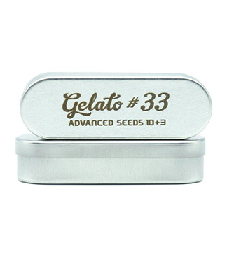 Gelato #33 fem (Advanced Seeds)