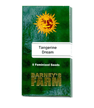 Tangerine Dream fem (Barney's Farm)