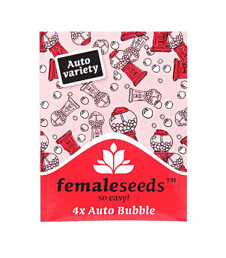 Auto Bubble fem (Female Seeds)