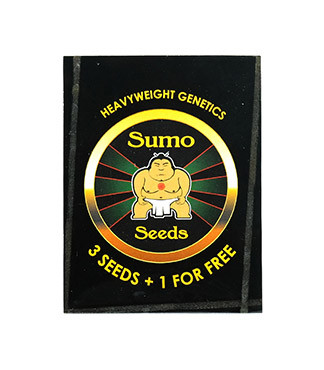 Cinderella's fem (Sumo Seeds)