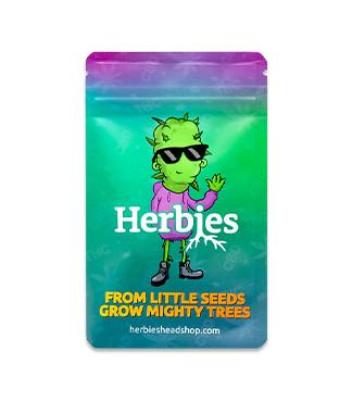 DDoS #33 fem (Herbies Seeds)