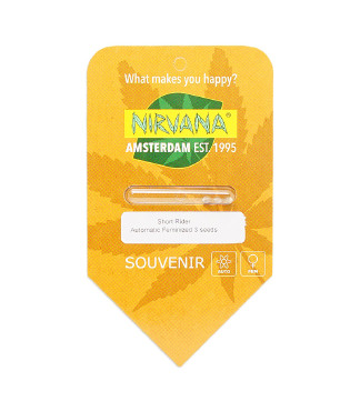 Short Rider Automatic fem (Nirvana Seeds)