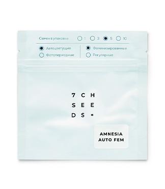 Amnesia Auto fem (Семяныч)