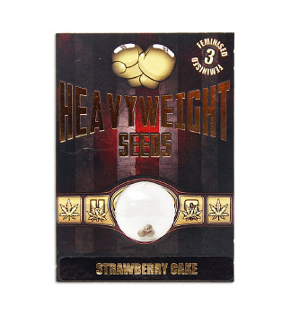 Strawberry Cake fem (Heavyweight Seeds)