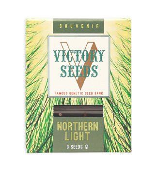 Northern Light fem (Victory Seeds)