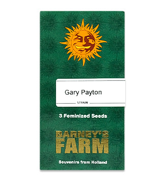 Gary Payton fem (Barney's Farm)