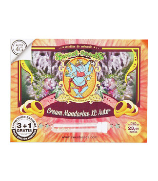Cream Mandarine XL Auto fem (Sweet Seeds)