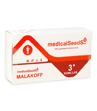 Malakoff fem (Medical Seeds)