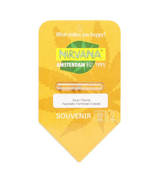 Swiss Cheese Automatic fem (Nirvana Seeds)